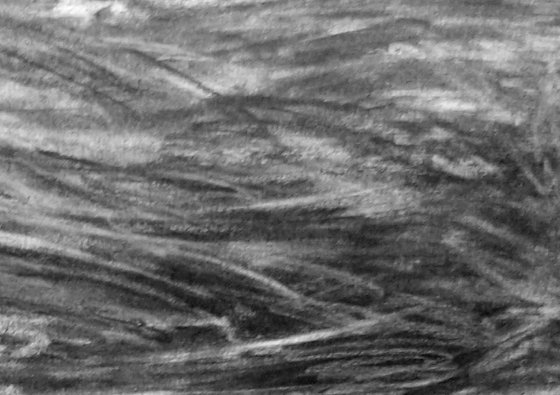 River Flow Patterns