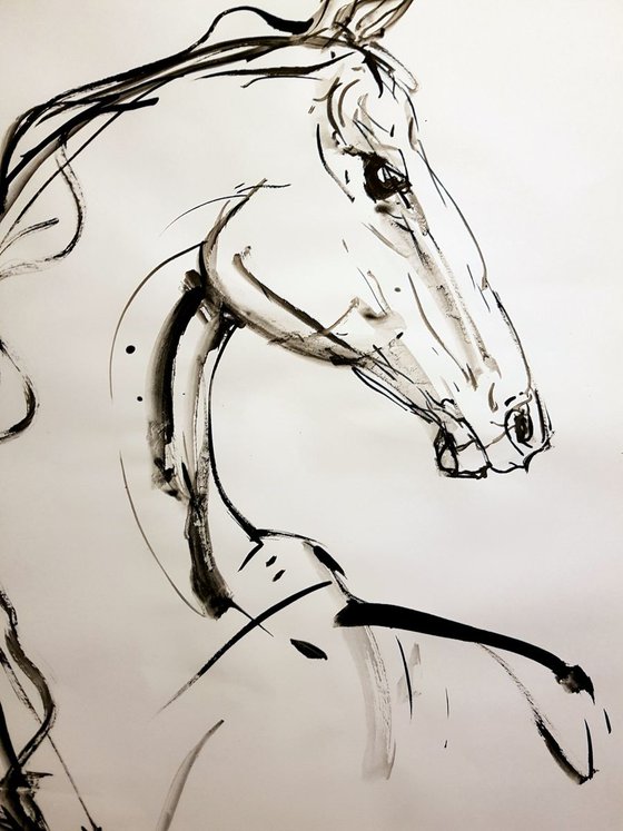 Horse 3