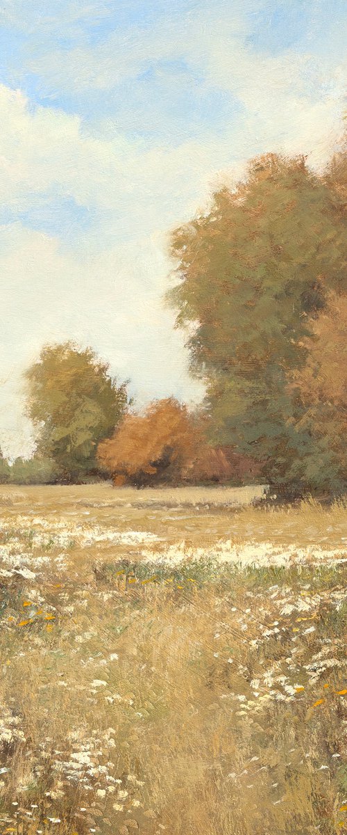 Late Summer 251120 by Don Bishop