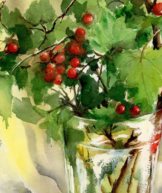 Red Currants