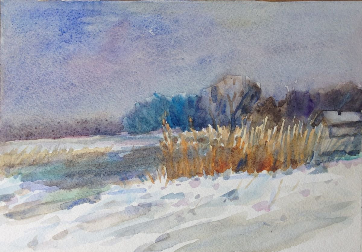 Winter Rural Landscape by Roman Sergienko