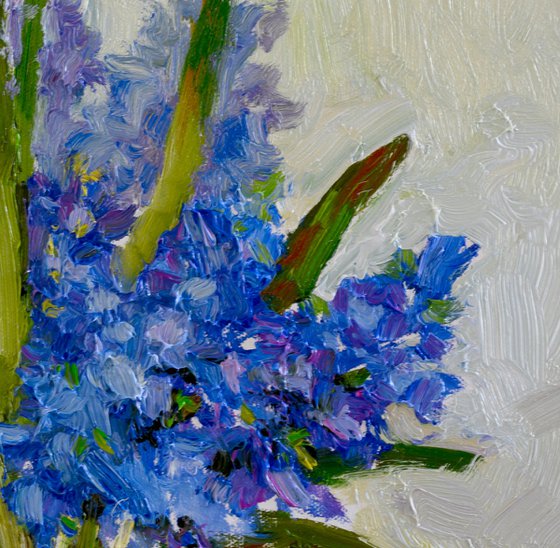 Blue Hyacinth
