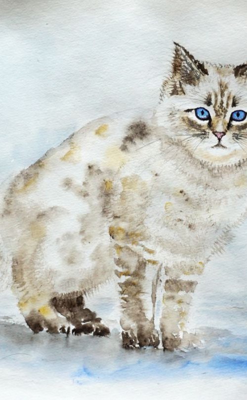 Cat by Yulia Schuster