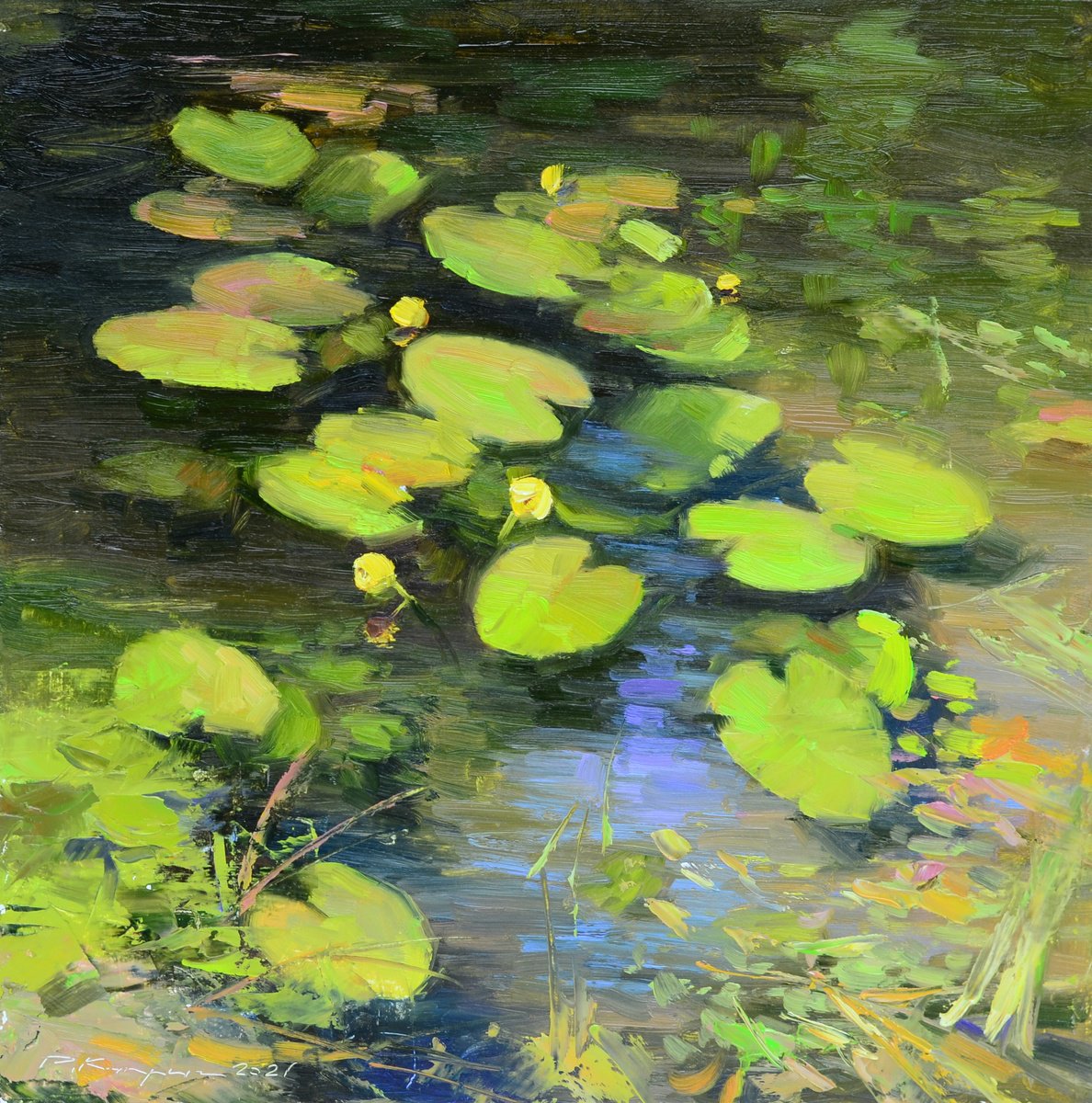 Water lilies by the shore by Ruslan Kiprych