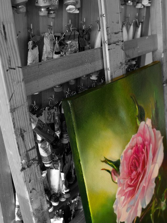 "Secular lioness" pink macro rose flower  liGHt original painting  GIFT (2018)