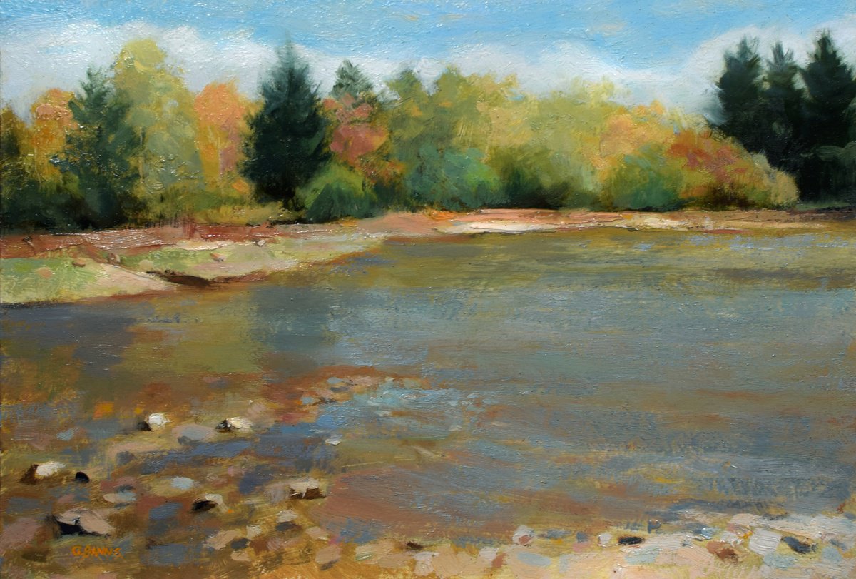 Impressionistic Landscape Oil Painting By Gav Banns, 12 X 8, Shallow Forest Pond Impressionism, Original Artwork