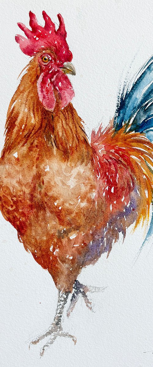 Proud Strut by Arti Chauhan