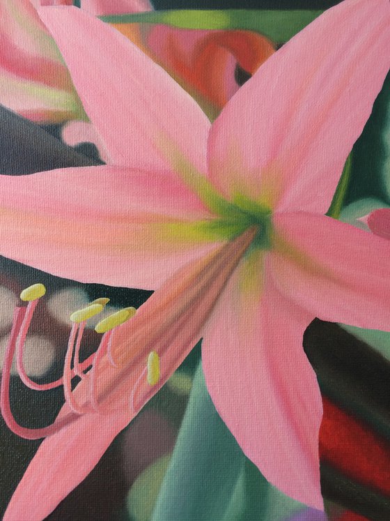 Pink Lilies