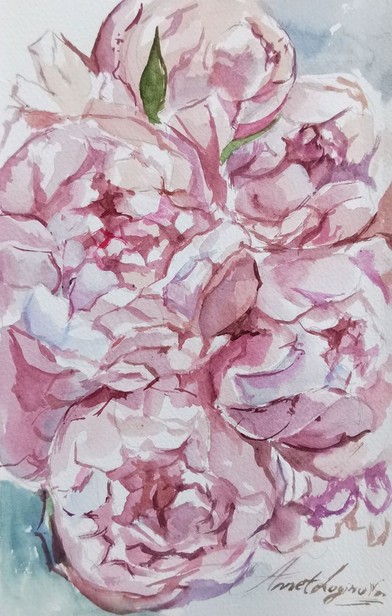 Peonies drawing on paper