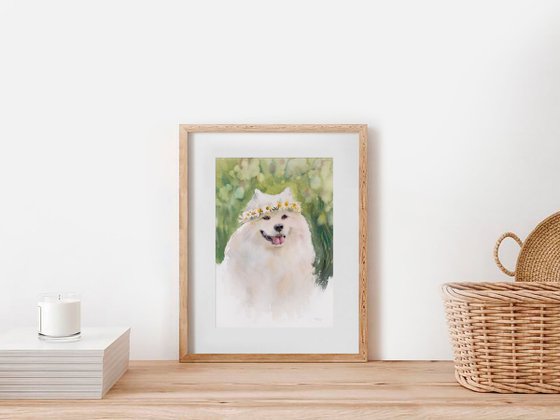 Samoyed dog portrait in a wreath of daisies