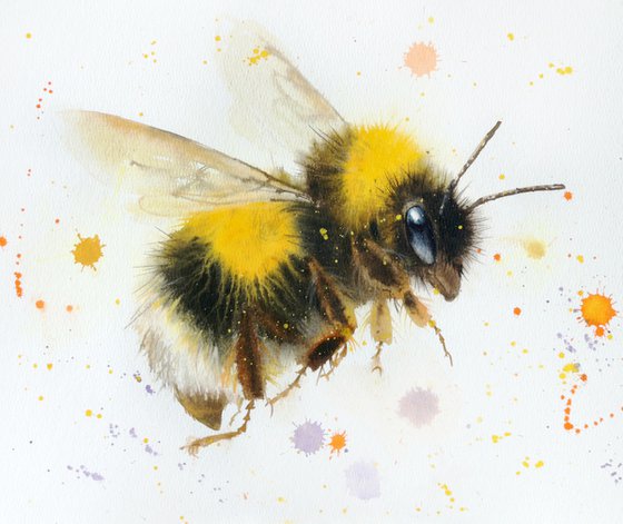 Bumblebee Duo – Diptych of Two Bumblebees