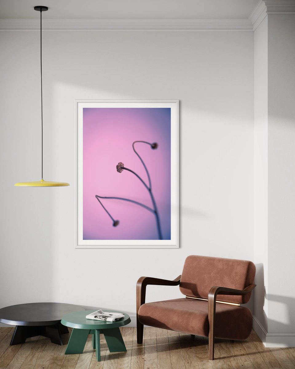 Botanical Photograph By Tal Paz-Fridman, 42 X 62", In Light Of Current Events Vi, Original Artwork