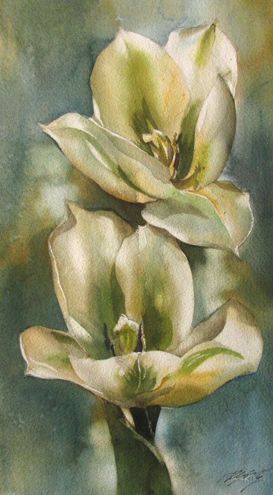 spring green tulips