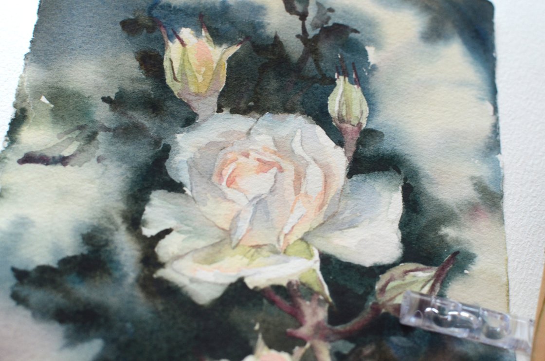 White rose in gouache paint on paper 7x10 inch. This fun study was painted  from life a couple days ago while on my trip in washington…