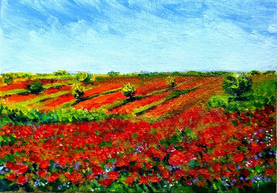 Miniature Poppy meadow landscape