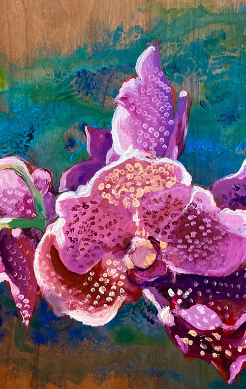 Morning orchid by John Cottee