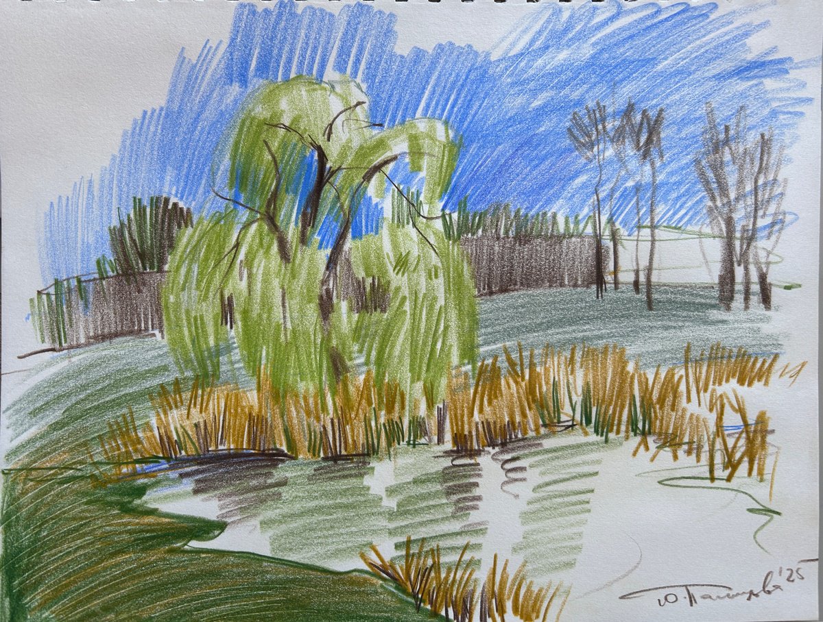 Landscape Pencil Drawing By Yuliia Pastukhova, 12 X 10", Windy Landscape, Original Artwork