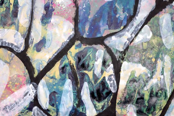 Letting the Light In