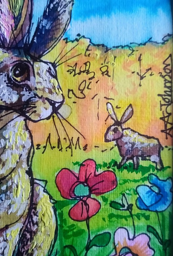Hares & yellow fields