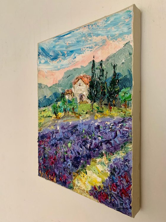 Lavender field