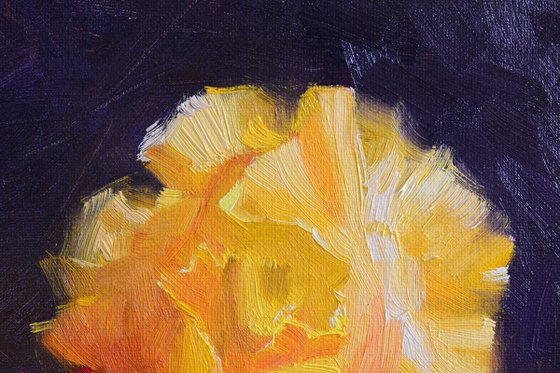 Yellow iris