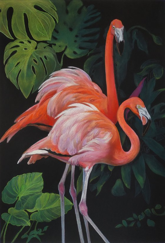 «Flamingos»