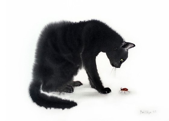 Black Cat Playing with Rhinoceros beetle