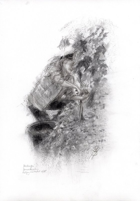 Vendanges 5