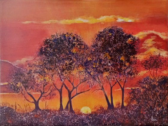 A vibrant African sunset