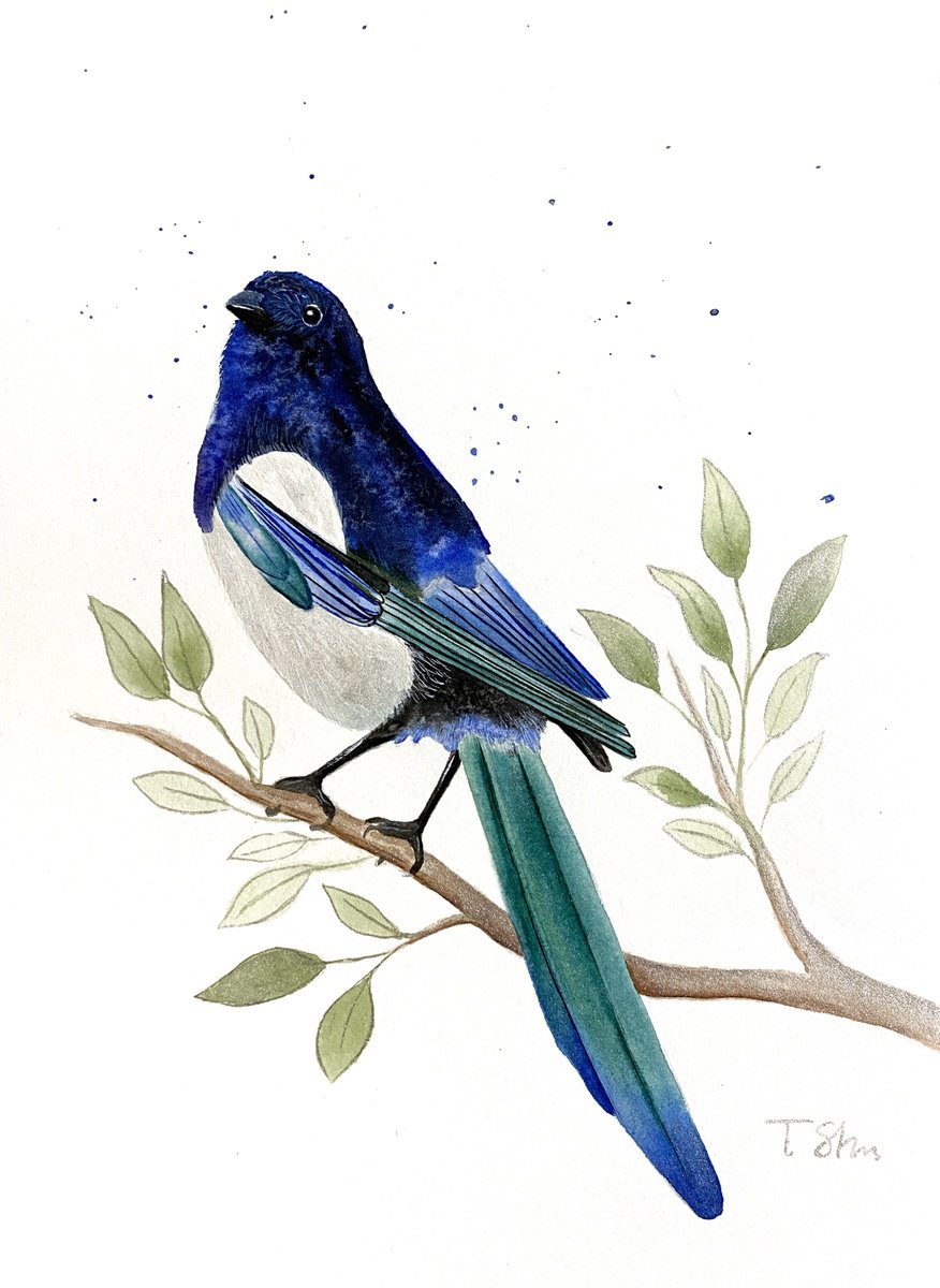 Tina Shyfruk | Original Watercolour | Titmouse And Magpie Set Of Two | 20 X 30Cm | Artwork For Sale On Artfinder
