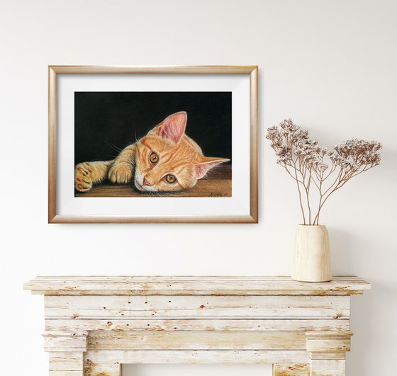 Ginger - Portrait of a ginger kitten