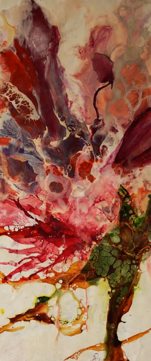 Thermal Bloom by Dora Stork