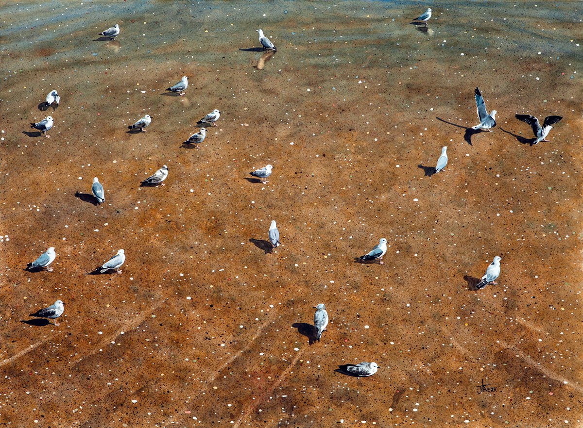 Gulls by John Kerr