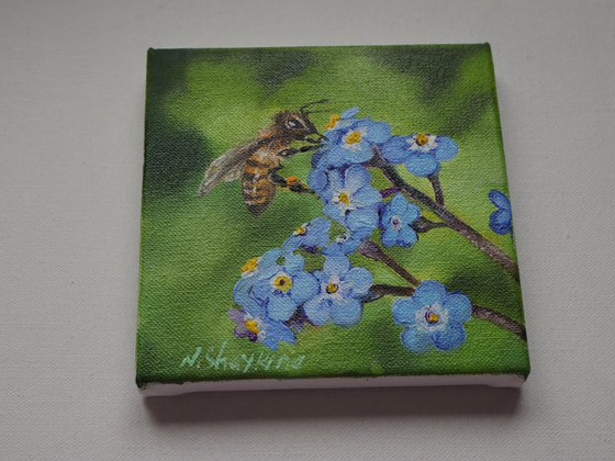 Tiny Bee on Forget-Me-Nots