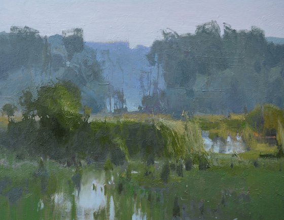 Shallow Stream