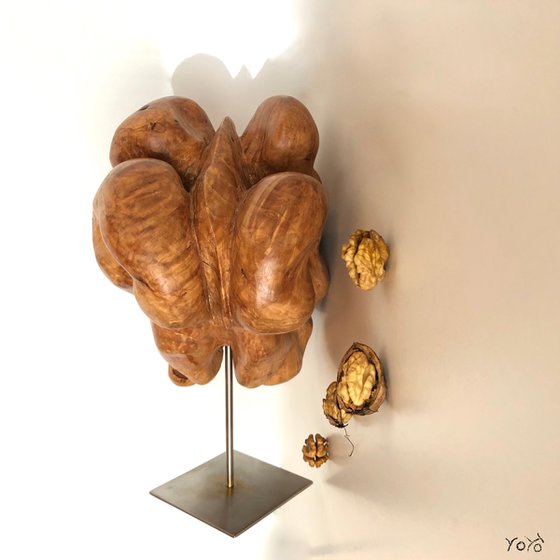 Walnut kernel