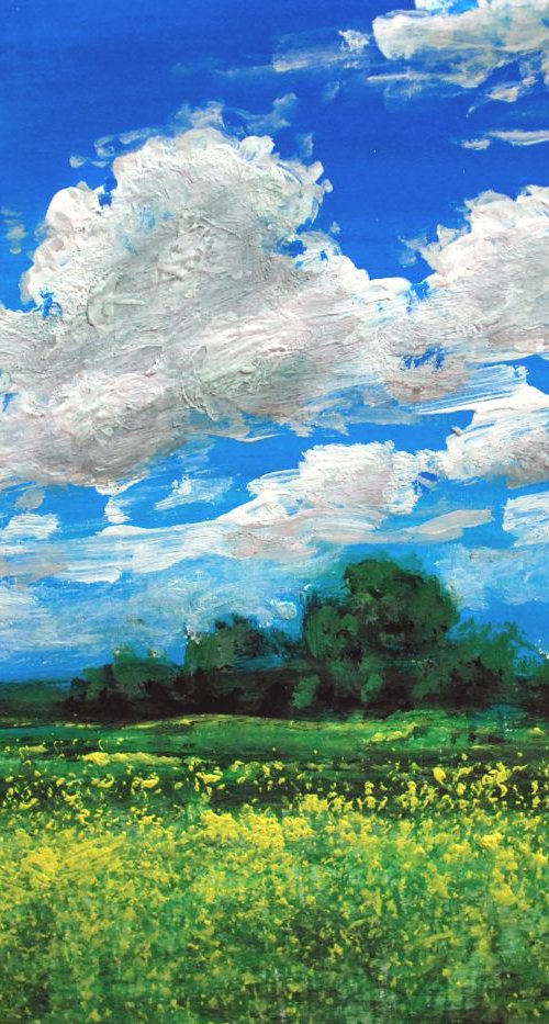 Meadows and clouds by Vishalandra Dakur