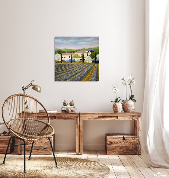 A Dream of Provence