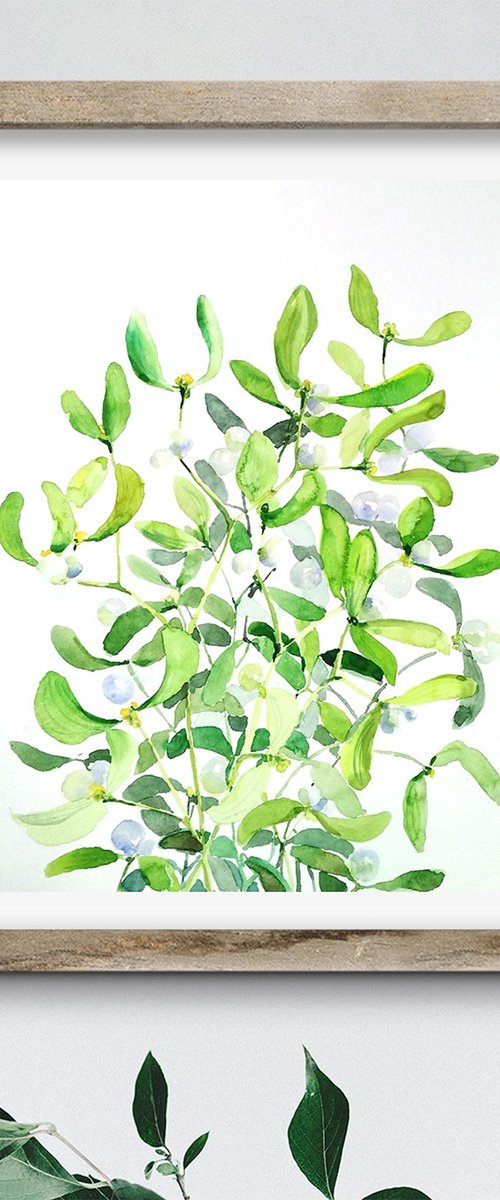 Mistletoe branch watercolor by Tanya Amos