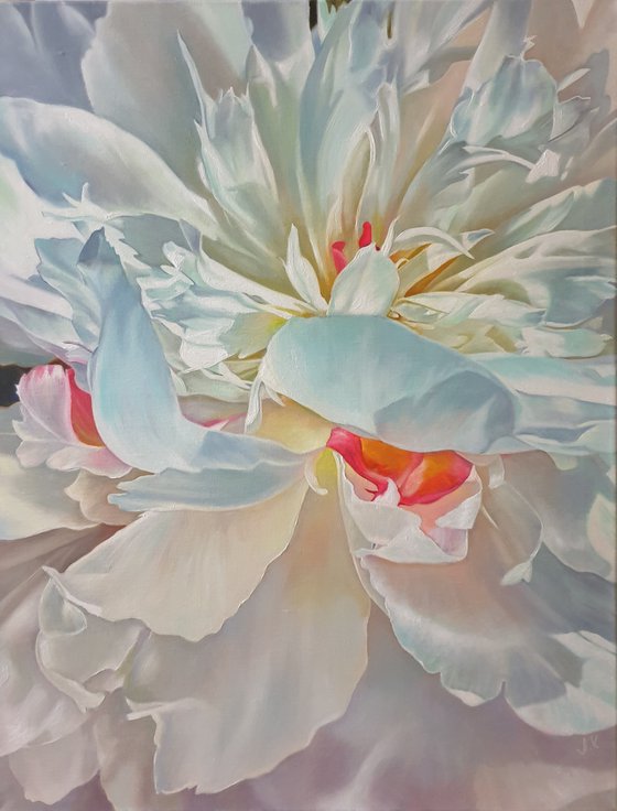 "Delicate petals. "   peonies flower 2021