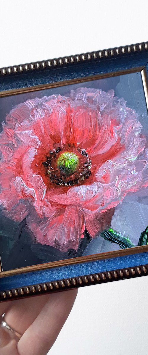 Poppy flower by Nataly Derevyanko