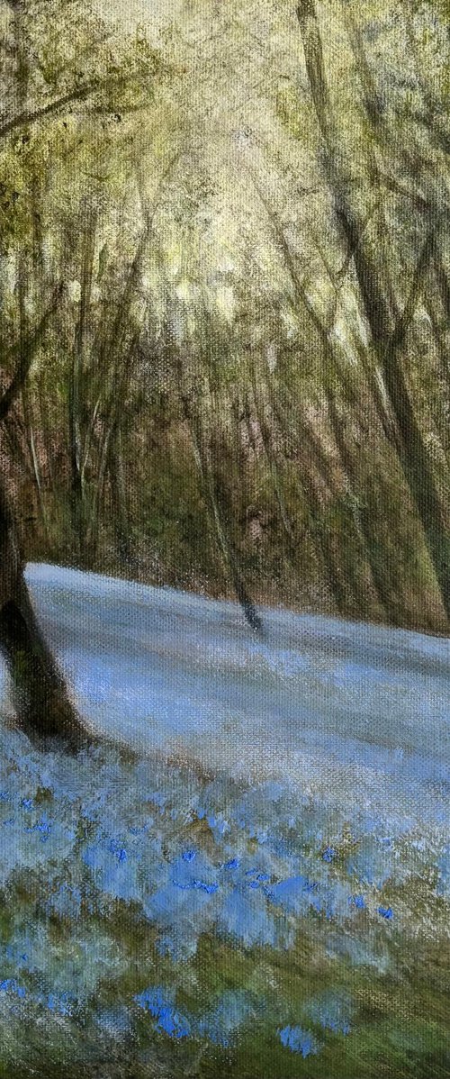 As The Woods Awaken by Jennifer Taylor