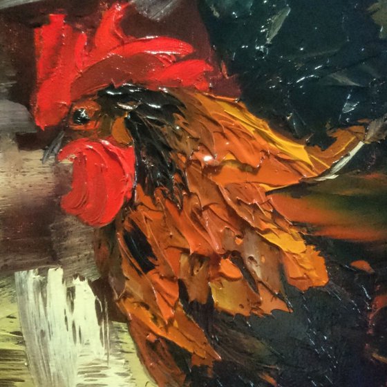 Rooster