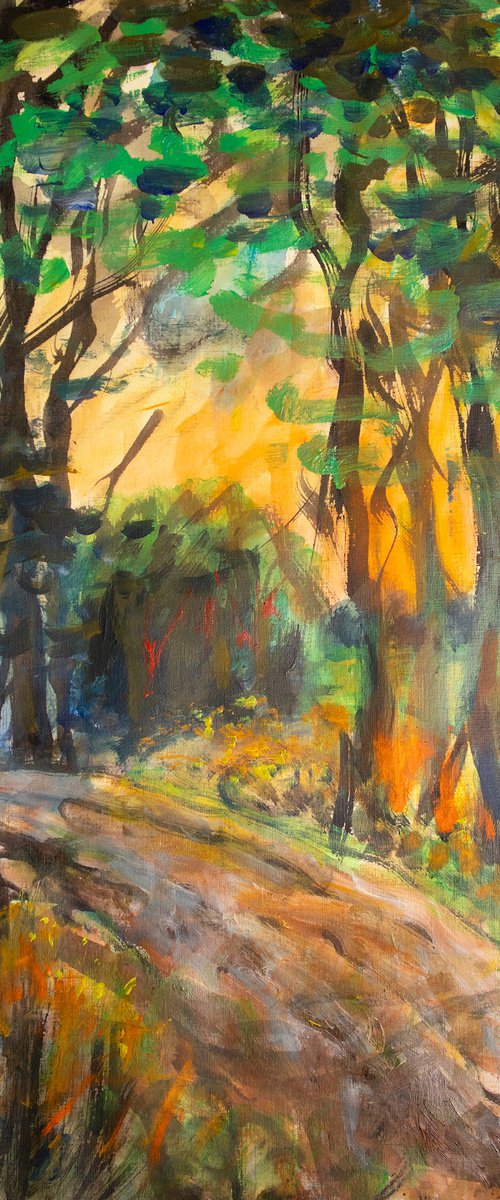 Evening forest sun sketch by René Goorman