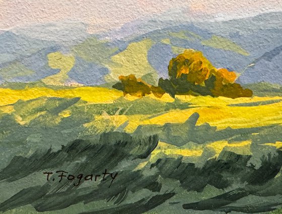 Afternoon Light Temecula Hills