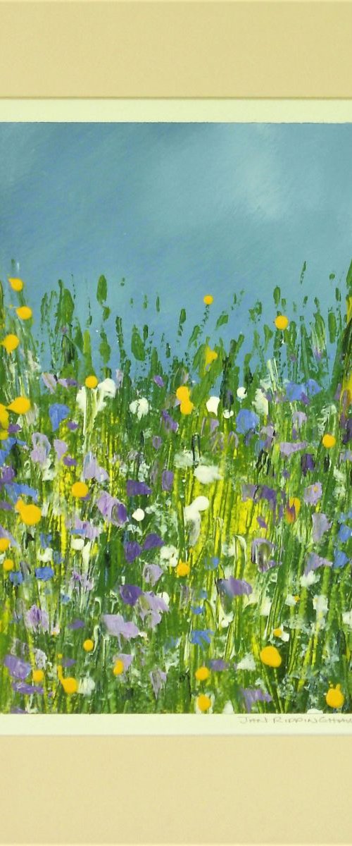 Hedgerow Flowers by Jan Rippingham
