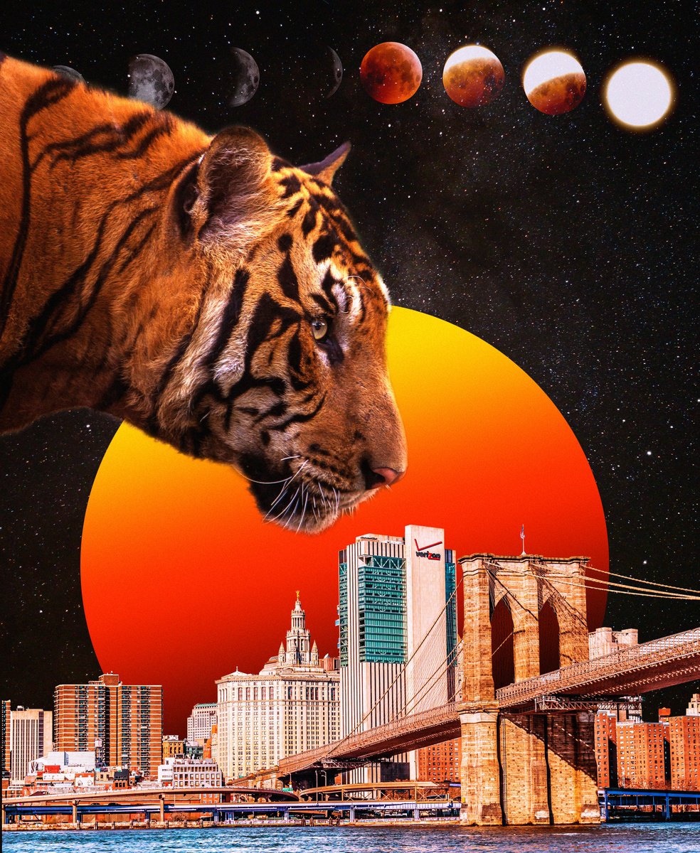 Tiger Tiger - LIMITED EDITION #30 by Darius Comi
