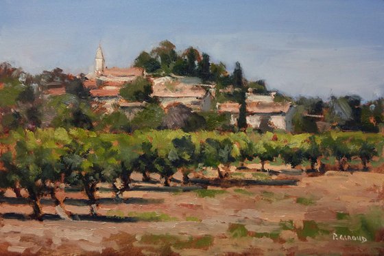Vineyards in Vaucluse