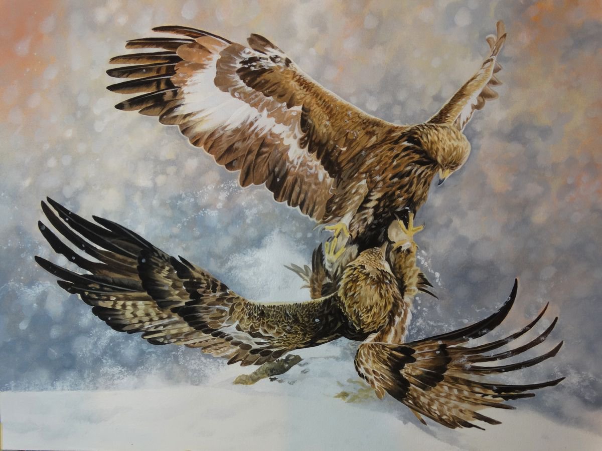 Eagle snow fight by Julian Wheat
