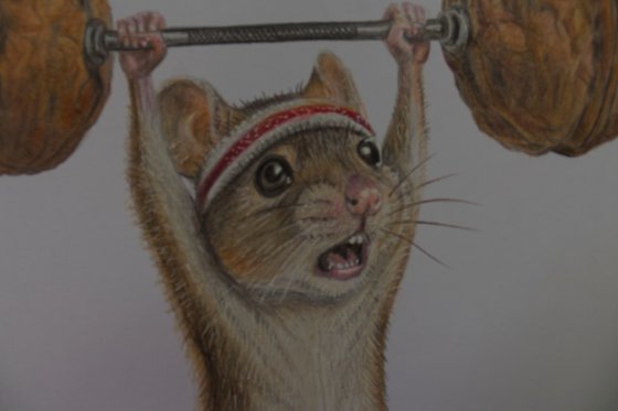Going Nuts - Colored Pencil Drawing